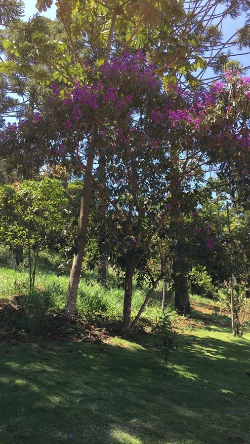 Pousada Canto Dos Passaros Itanhandu Εξωτερικό φωτογραφία